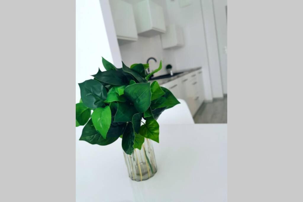 Green Apartment Promenada Gwiazd- Widok Na Morze. Мендзиздрое Екстериор снимка